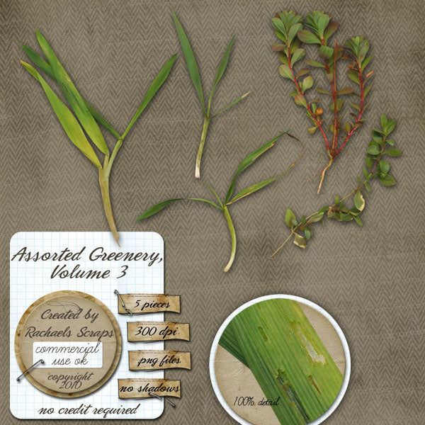 Assorted Greenery, Volume 03