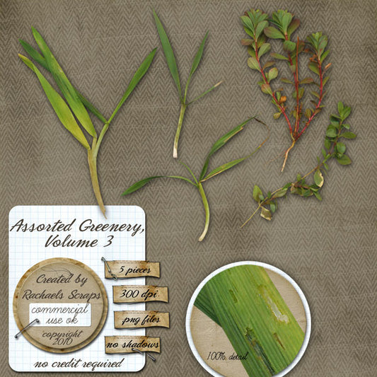 Assorted Greenery, Volume 03