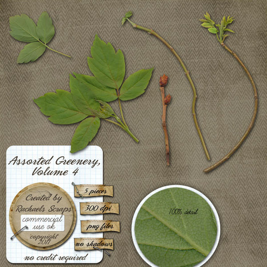 Assorted Greenery, Volume 04
