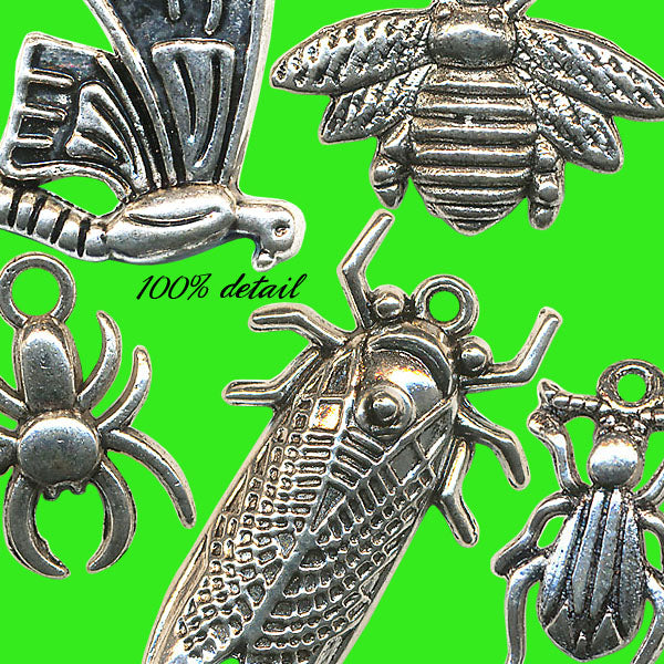Bug Charms