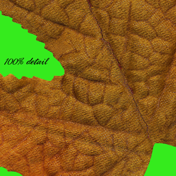 Fabric Fall Leaves, Volume 05