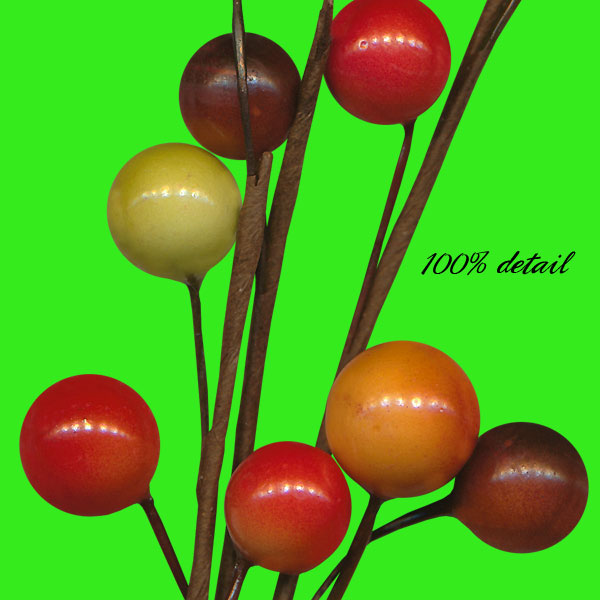 Fall Berry Branches, Volume 02