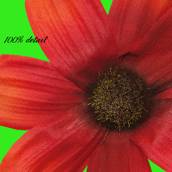 Fall Bits, Volume 01