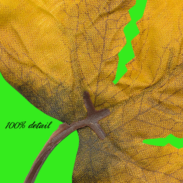 Fall Bits, Volume 02