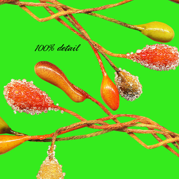 Fall Millinery Pieces, Volume 02