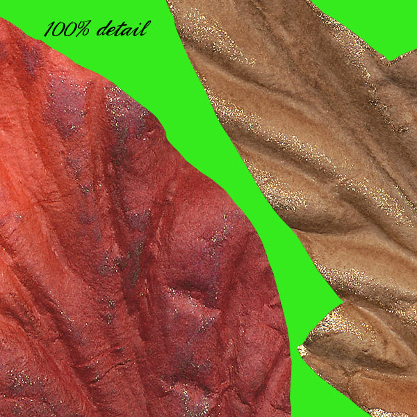 Paper Fall Leaves, Volume 01