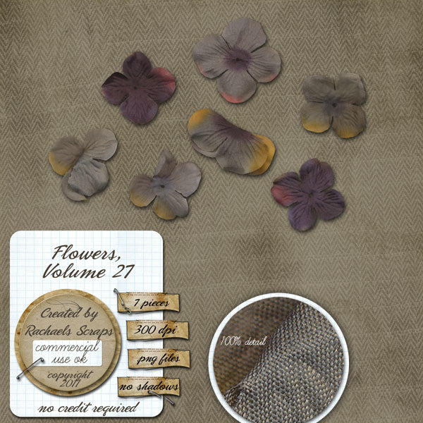 Flowers, Volume 27