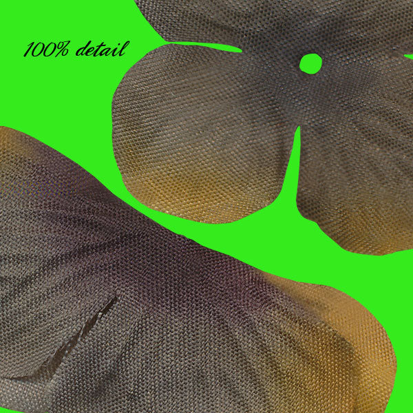Flowers, Volume 27