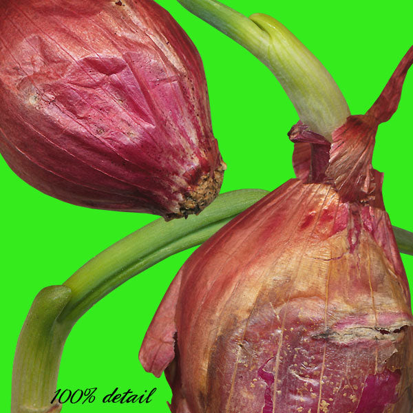 Garden Tools, Volume 02