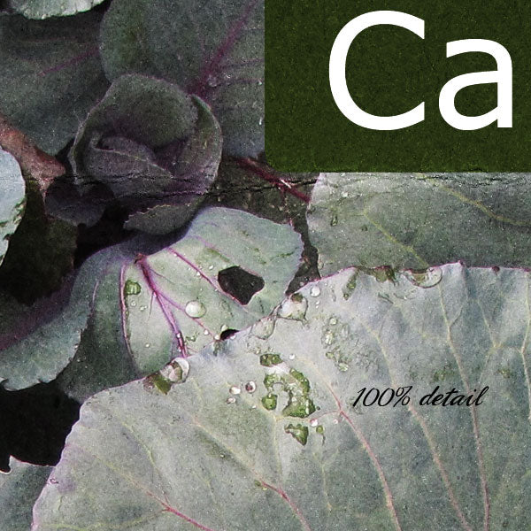 Garden Tools, Volume 02