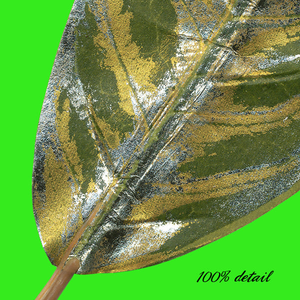 Glitter Leaves, Volume 03