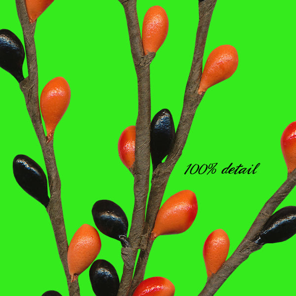 Halloween Berry Branches, Volume 02