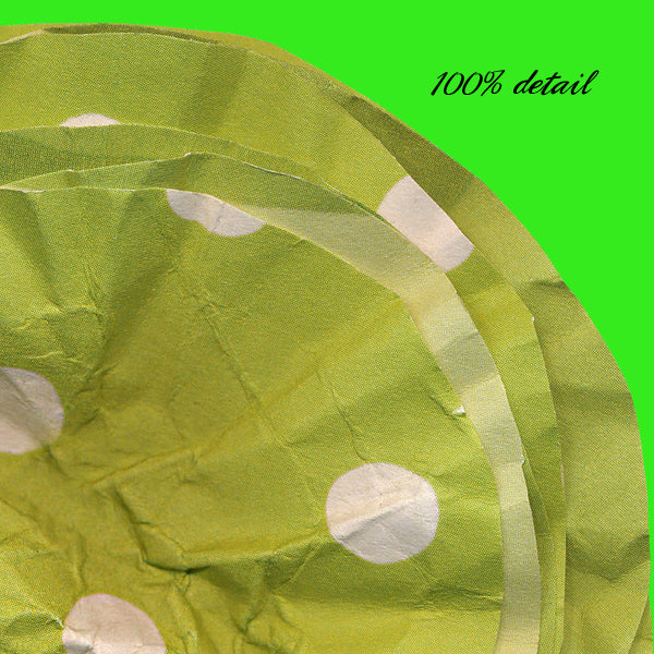 Handmade Paper Flowers