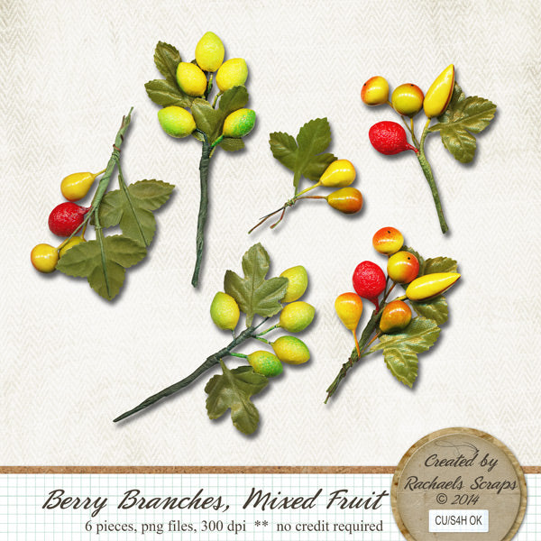 Berry Branches, Mixed Fruit