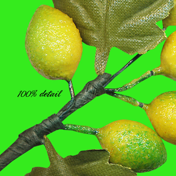 Berry Branches, Mixed Fruit