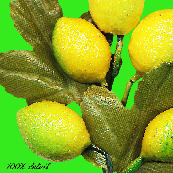 Berry Branches, Mixed Fruit