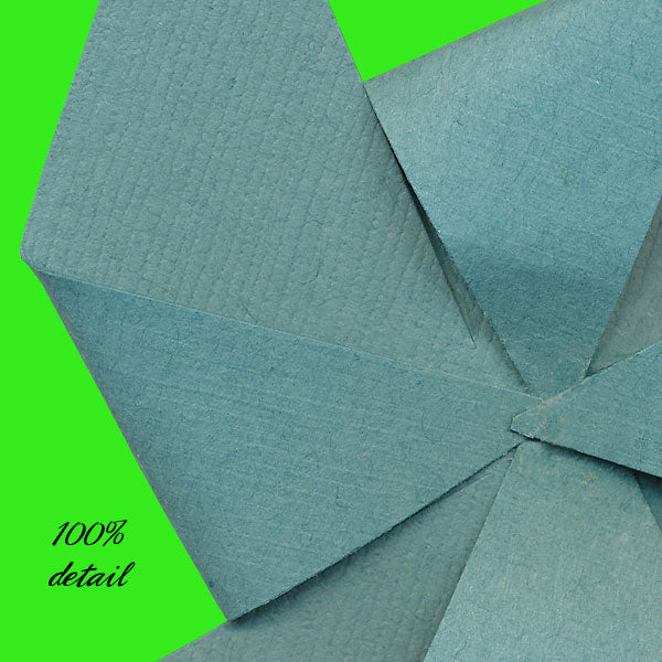 Paper Flowers, Volume 07