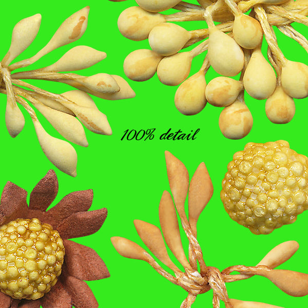 Paper Flowers and Centers