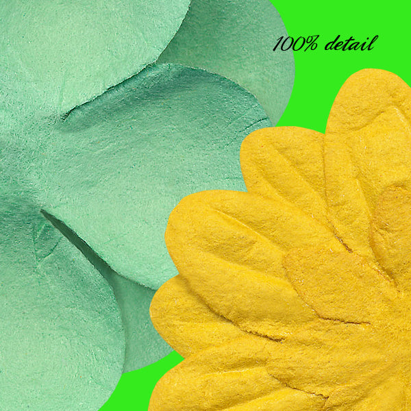 Paper Flowers and Centers