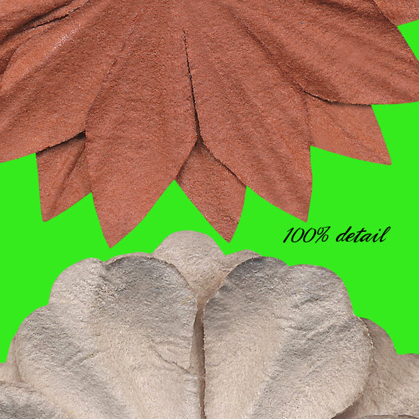 Paper Flowers and Centers