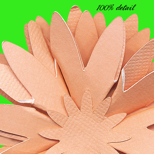 Paper Flowers, Volume 12