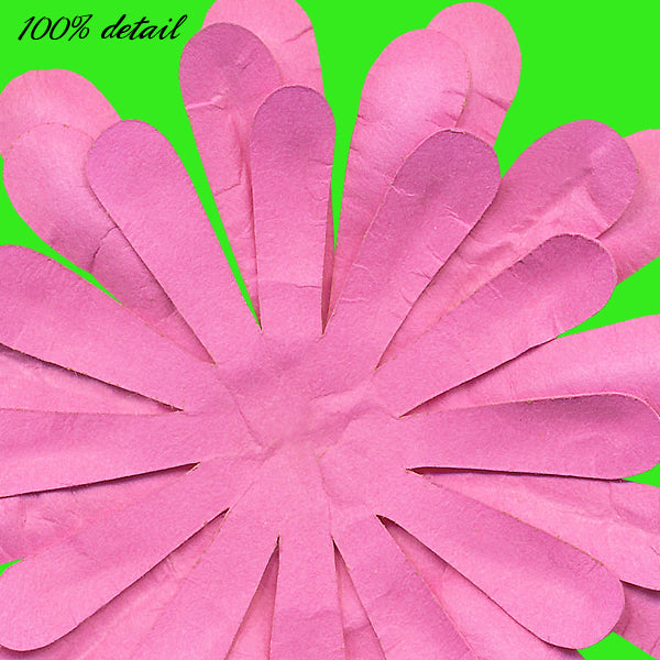 Paper Flowers, Volume 12