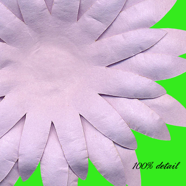 Paper Flowers, Volume 12