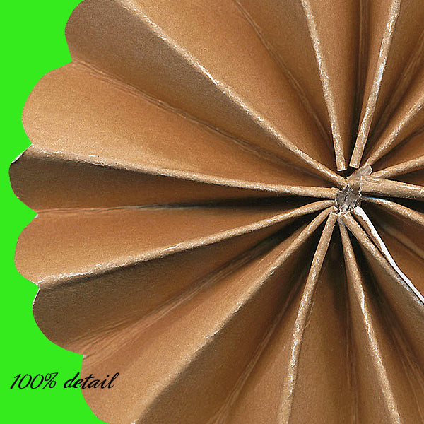 Paper Flowers, Volume 12