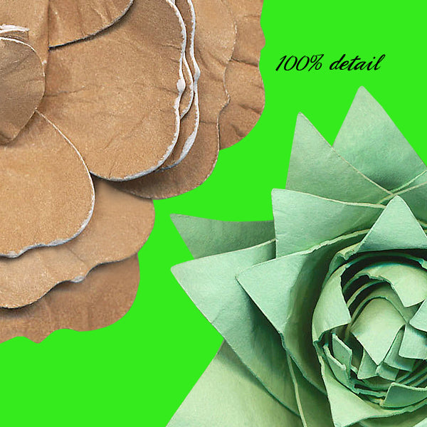 Paper Flowers, Volume 11