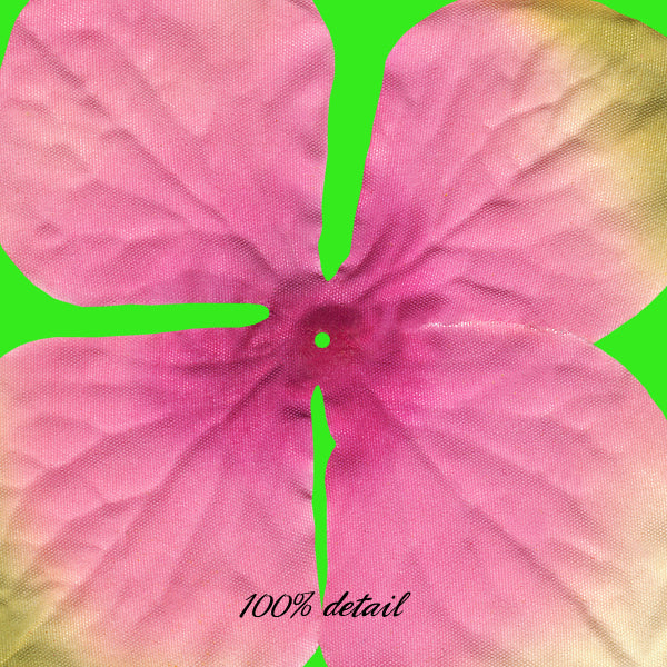 Pink & Purple Fabric Flowers