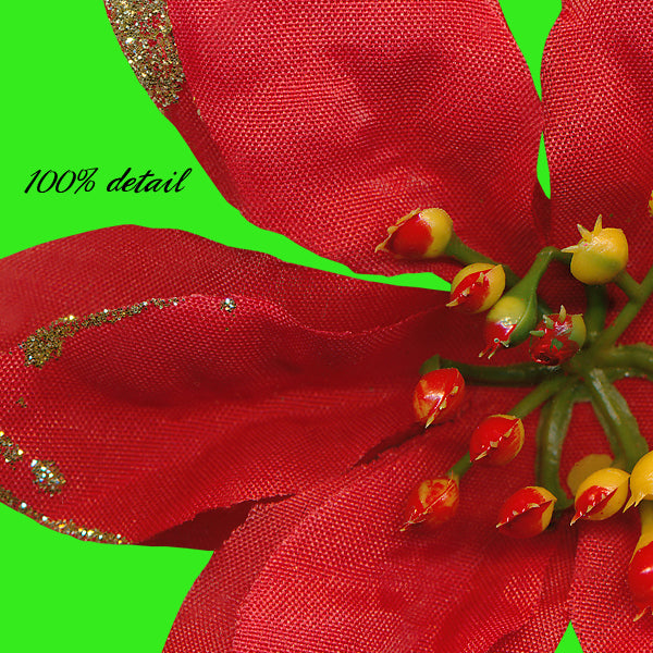 Poinsettias, Volume 03