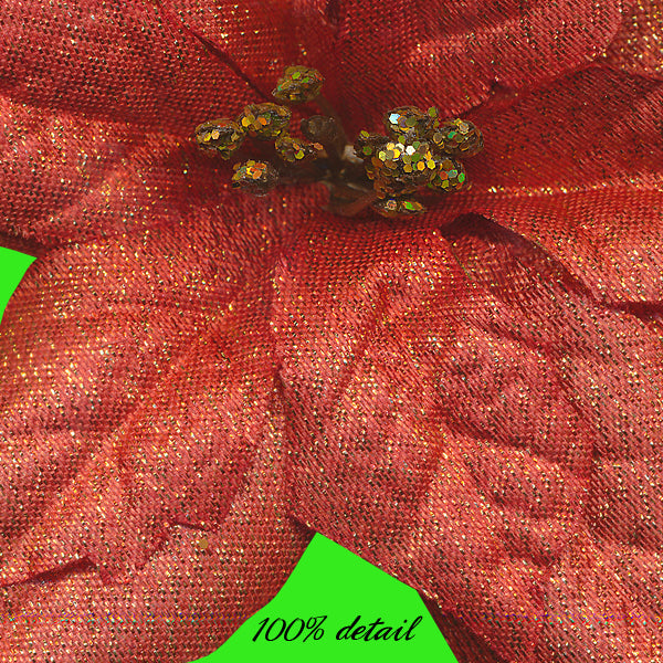 Poinsettias, Volume 03