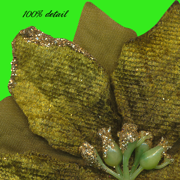 Poinsettias, Volume 03