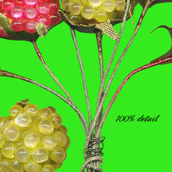 Berry Branches, Raspberries