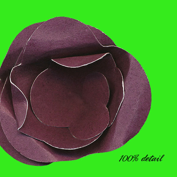 Rolled Paper Flowers, Volume 05