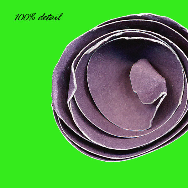 Rolled Paper Flowers, Volume 05