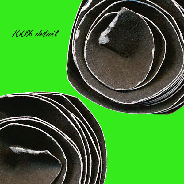 Rolled Paper Flowers, Volume 05