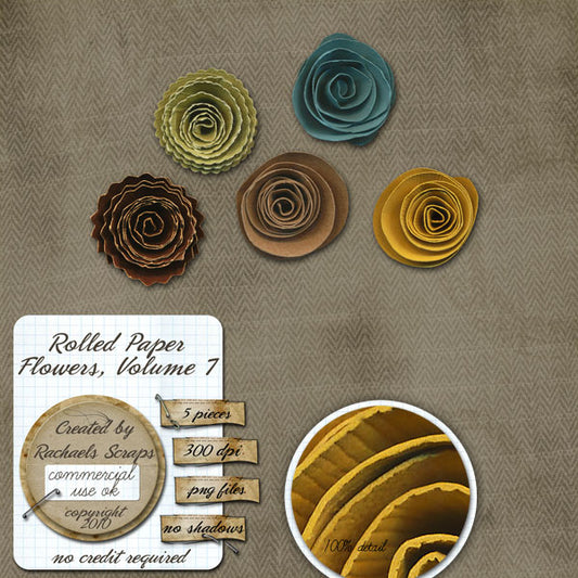 Rolled Paper Flowers, Volume 07