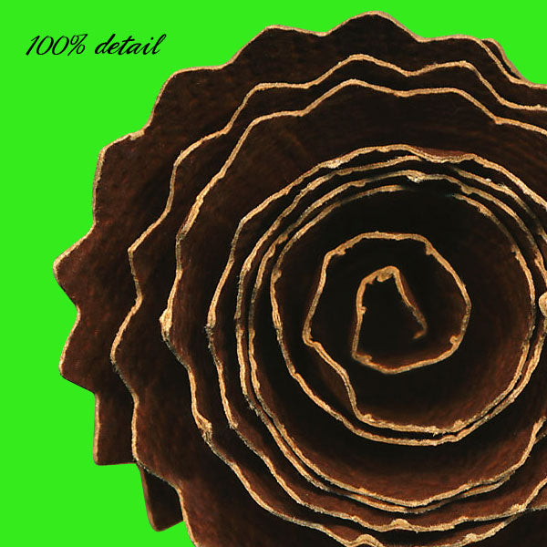 Rolled Paper Flowers, Volume 07