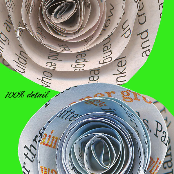 Rolled Paper Flowers, Volume 08