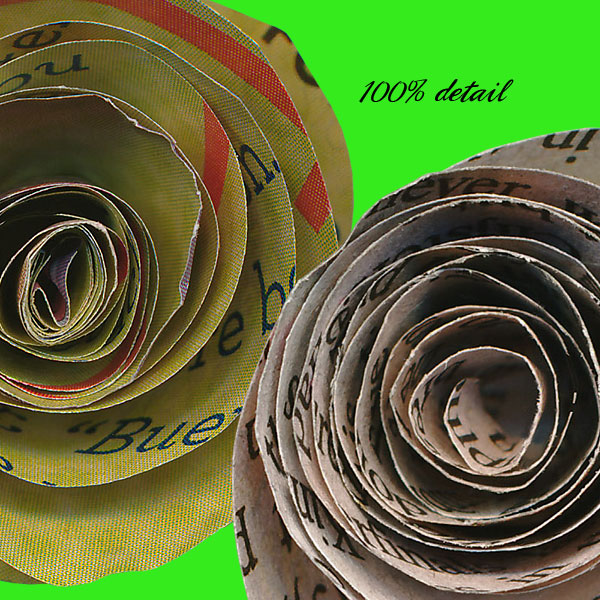 Rolled Paper Flowers, Volume 08