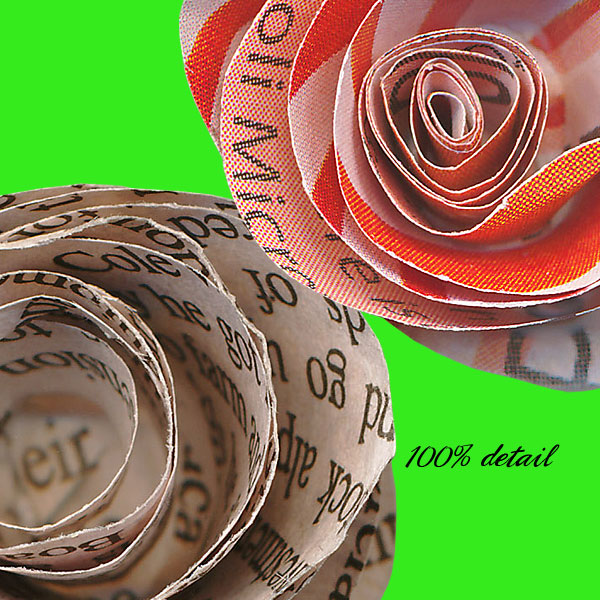 Rolled Paper Flowers, Volume 08