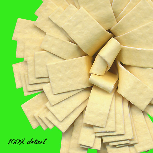 Rolled Paper Flowers, Volume 10