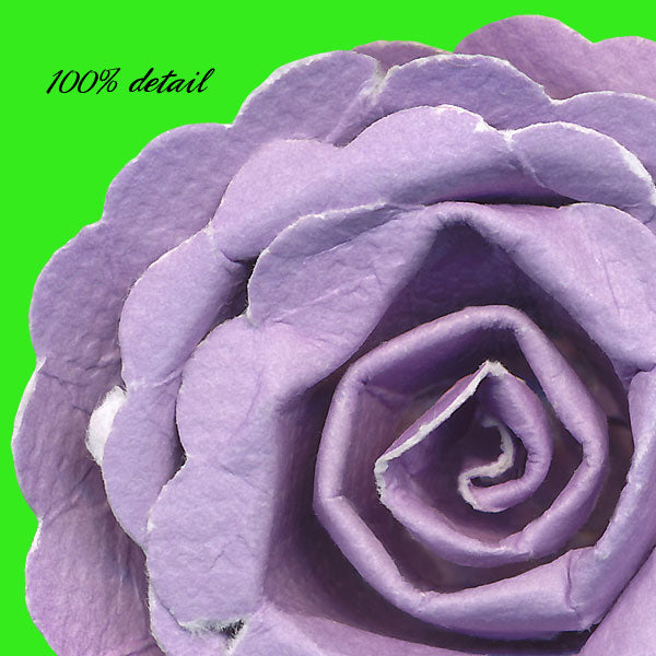 Rolled Paper Flowers, Volume 10