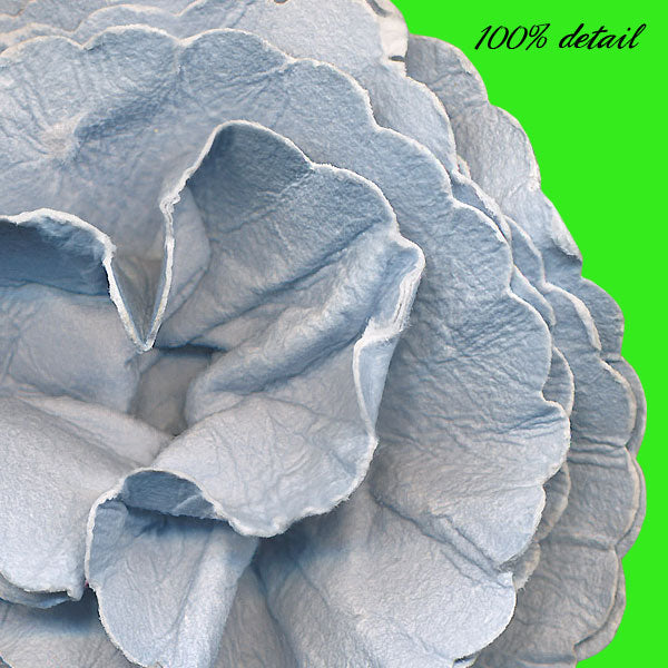 Rolled Paper Flowers, Volume 10