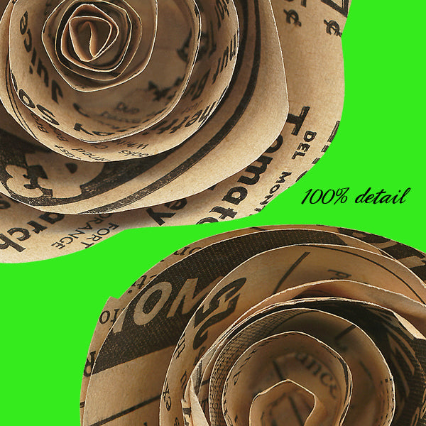 Rolled Paper Flowers, Volume 15