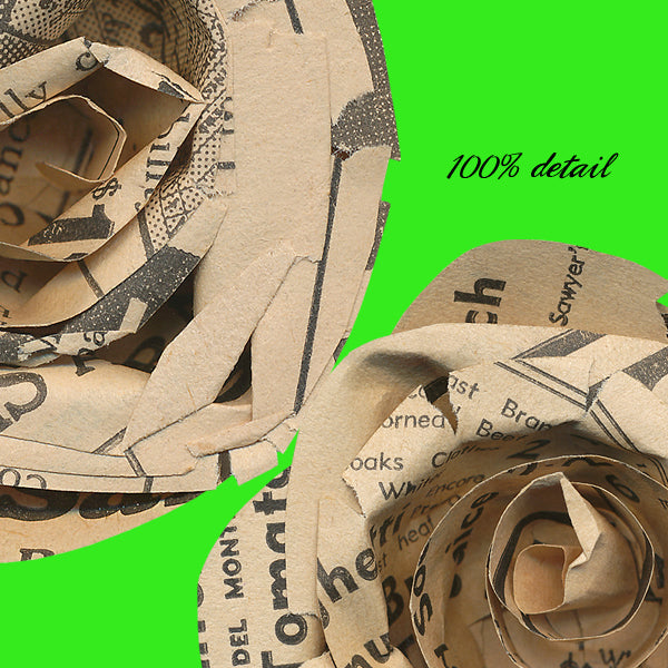 Rolled Paper Flowers, Volume 15