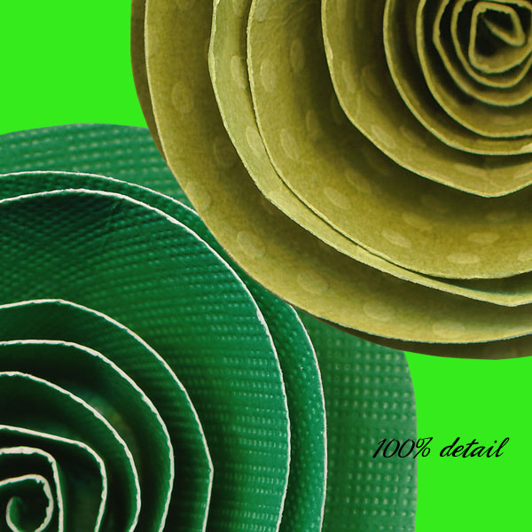 Rolled Paper Flowers, Volume 14