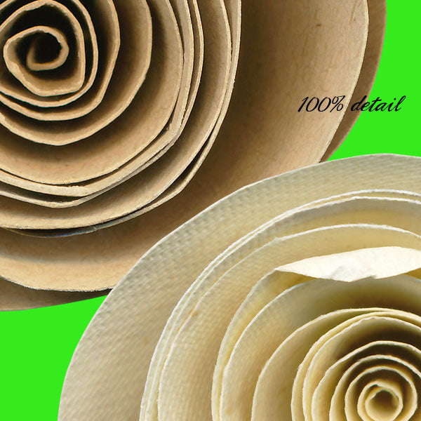 Rolled Paper Flowers, Volume 14