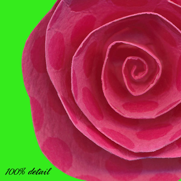 Rolled Paper Flowers, Volume 11